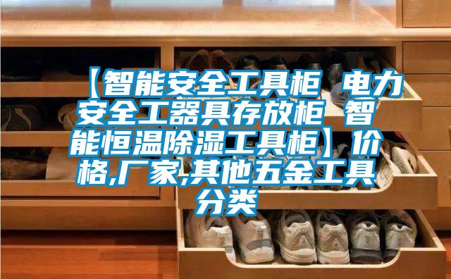 【智能安全工具柜 電力安全工器具存放柜 智能恒溫除濕工具柜】?jì)r(jià)格,廠(chǎng)家,其他五金工具分類(lèi)