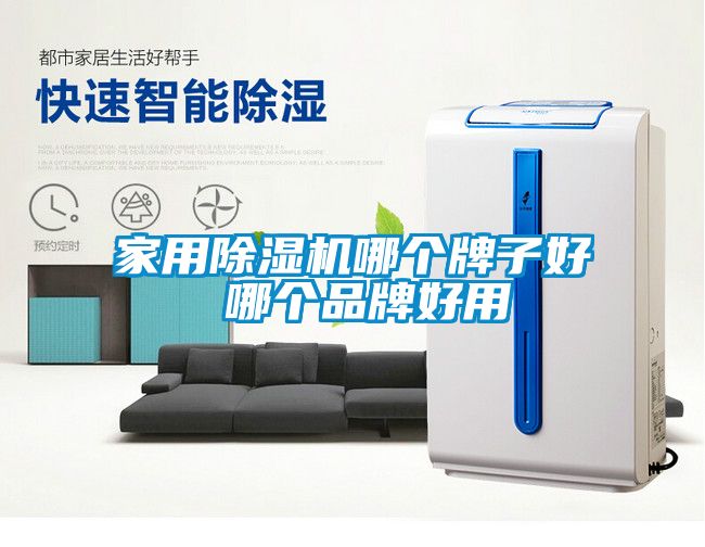 家用除濕機哪個(gè)牌子好 哪個(gè)品牌好用