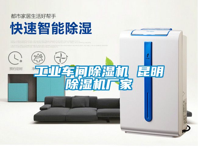 工業(yè)車(chē)間除濕機 昆明除濕機廠(chǎng)家
