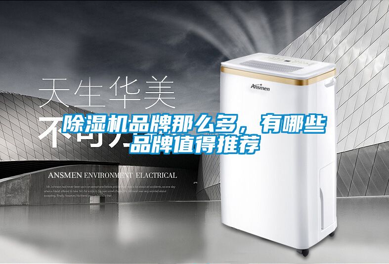 除濕機品牌那么多，有哪些品牌值得推薦