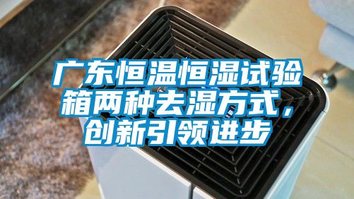 廣東恒溫恒濕試驗箱兩種去濕方式，創(chuàng  )新引領(lǐng)進(jìn)步