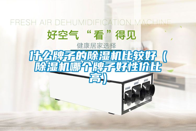 什么牌子的除濕機比較好（除濕機哪個(gè)牌子好性?xún)r(jià)比高）