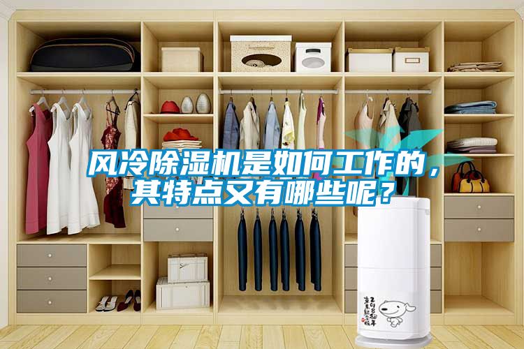 風(fēng)冷除濕機是如何工作的，其特點(diǎn)又有哪些呢？