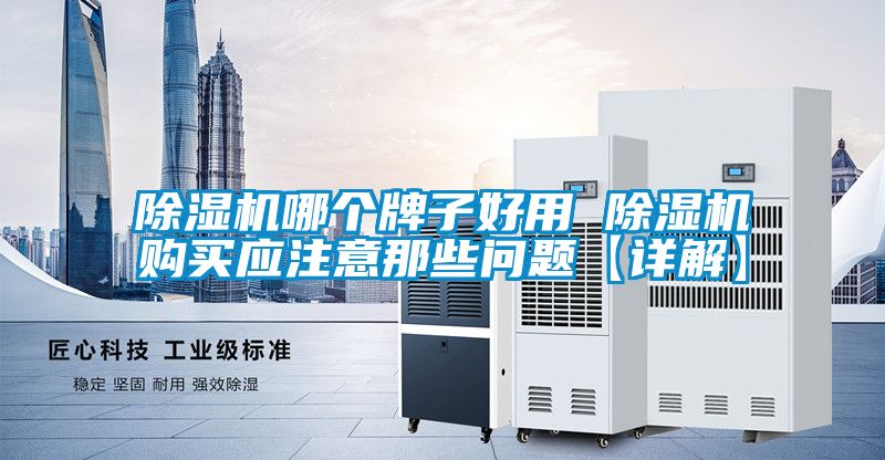 除濕機哪個(gè)牌子好用 除濕機購買(mǎi)應注意那些問(wèn)題【詳解】