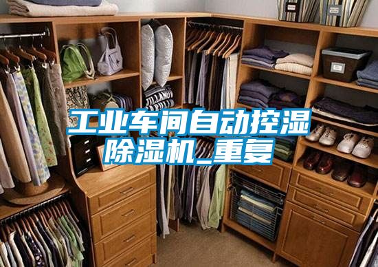 工業(yè)車(chē)間自動(dòng)控濕除濕機_重復