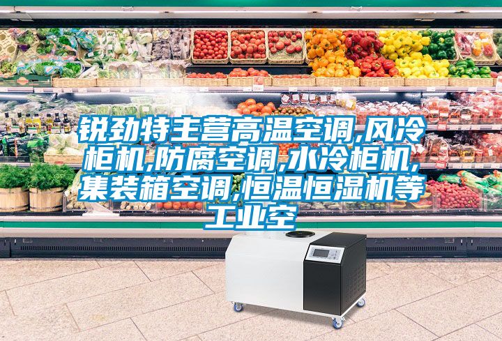 銳勁特主營(yíng)高溫空調,風(fēng)冷柜機,防腐空調,水冷柜機,集裝箱空調,恒溫恒濕機等工業(yè)空