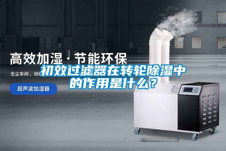 初效過(guò)濾器在轉輪除濕中的作用是什么？