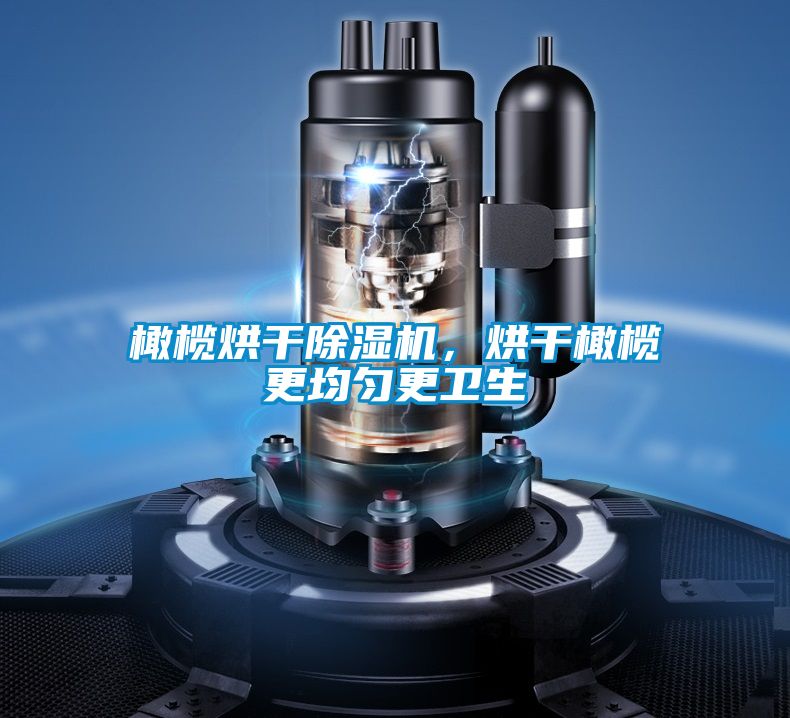 橄欖烘干除濕機，烘干橄欖更均勻更衛生