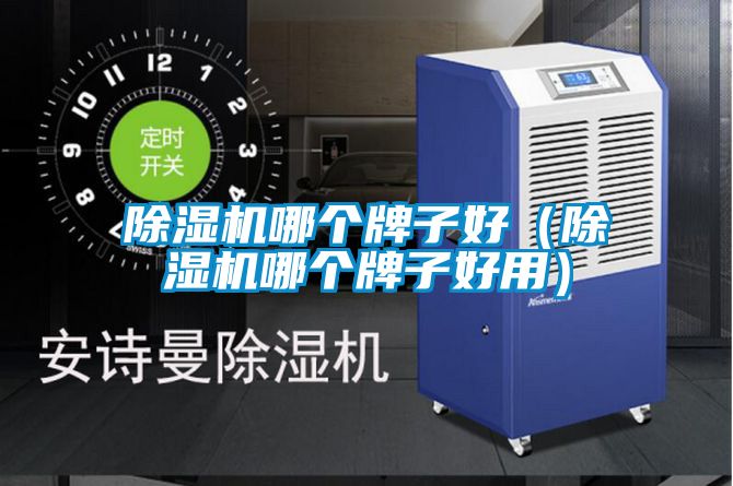 除濕機哪個(gè)牌子好（除濕機哪個(gè)牌子好用）