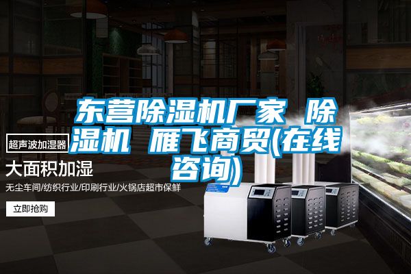 東營(yíng)除濕機廠(chǎng)家 除濕機 雁飛商貿(在線(xiàn)咨詢(xún))