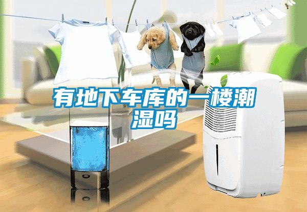 有地下車(chē)庫的一樓潮濕嗎