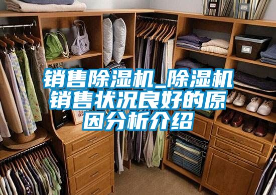 銷(xiāo)售除濕機_除濕機銷(xiāo)售狀況良好的原因分析介紹