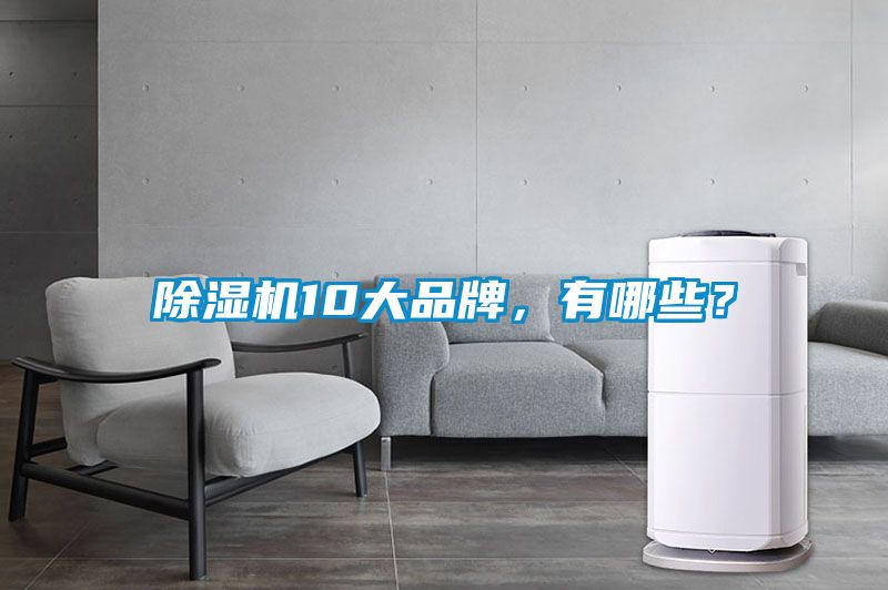 除濕機10大品牌，有哪些？