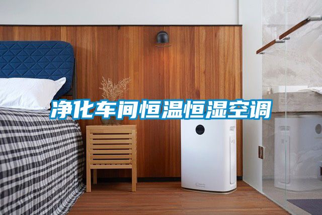 凈化車(chē)間恒溫恒濕空調