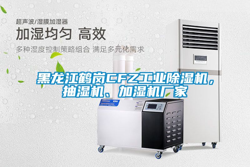 黑龍江鶴崗CFZ工業(yè)除濕機，抽濕機、加濕機廠(chǎng)家