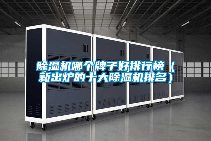 除濕機哪個(gè)牌子好排行榜（新出爐的十大除濕機排名）