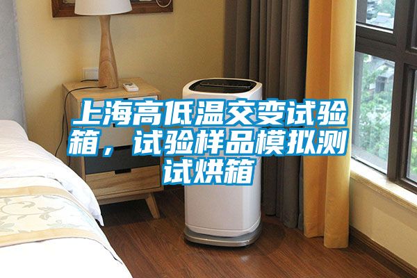 上海高低溫交變試驗箱，試驗樣品模擬測試烘箱