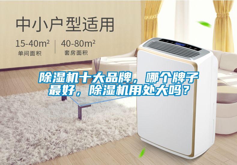 除濕機十大品牌，哪個(gè)牌子最好，除濕機用處大嗎？