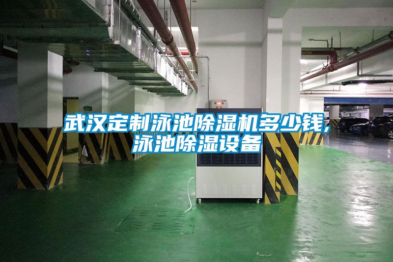 武漢定制泳池除濕機多少錢(qián),泳池除濕設備