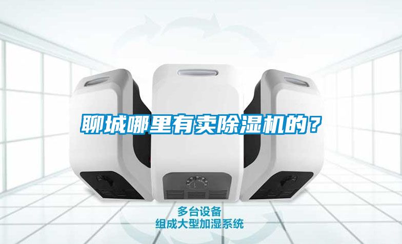 聊城哪里有賣(mài)除濕機的？