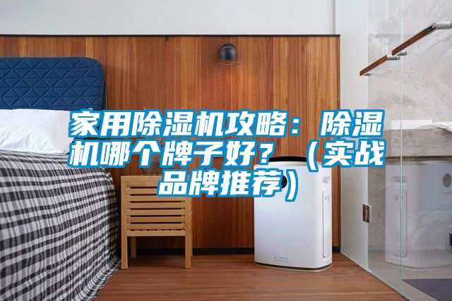 家用除濕機攻略：除濕機哪個(gè)牌子好？（實(shí)戰品牌推薦）
