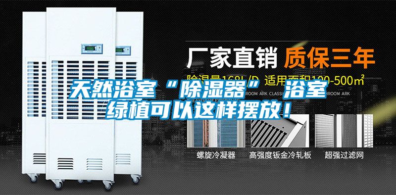 天然浴室“除濕器” 浴室綠植可以這樣擺放！