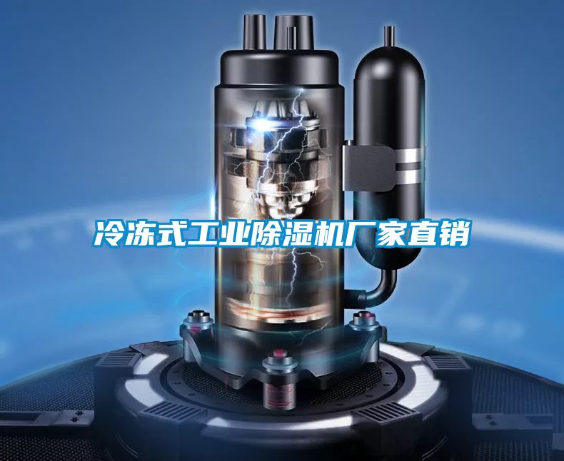 冷凍式工業(yè)除濕機廠(chǎng)家直銷(xiāo)