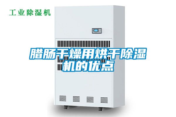 臘腸干燥用烘干除濕機的優(yōu)點(diǎn)