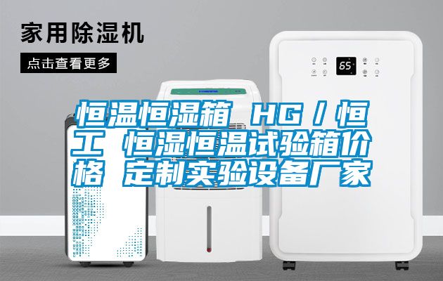 恒溫恒濕箱 HG／恒工 恒濕恒溫試驗箱價(jià)格 定制實(shí)驗設備廠(chǎng)家
