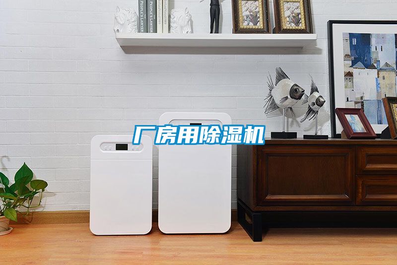 廠(chǎng)房用除濕機