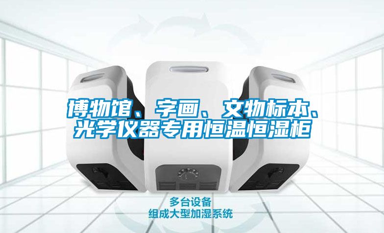 博物館、字畫(huà)、文物標本、光學(xué)儀器專(zhuān)用恒溫恒濕柜