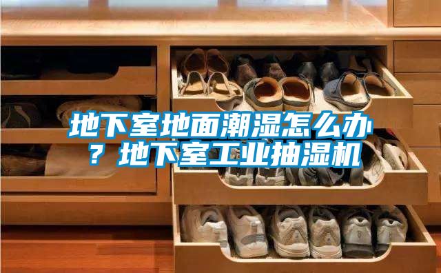 地下室地面潮濕怎么辦？地下室工業(yè)抽濕機