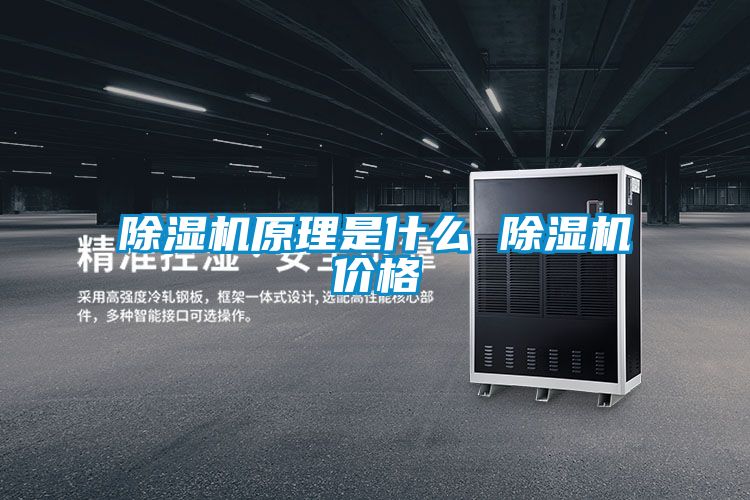 除濕機原理是什么 除濕機價(jià)格