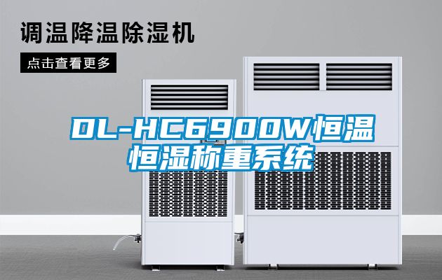 DL-HC6900W恒溫恒濕稱(chēng)重系統