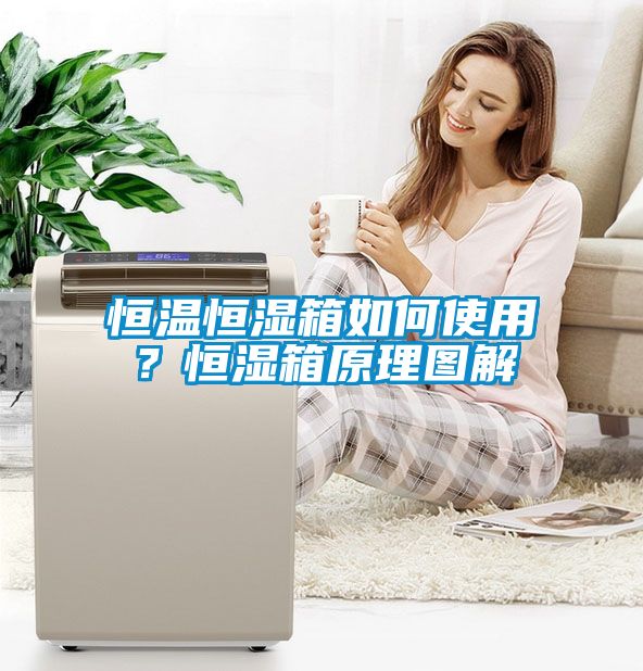 恒溫恒濕箱如何使用？恒濕箱原理圖解