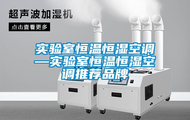 實(shí)驗室恒溫恒濕空調—實(shí)驗室恒溫恒濕空調推薦品牌