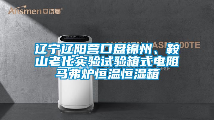 遼寧遼陽(yáng)營(yíng)口盤(pán)錦州、鞍山老化實(shí)驗試驗箱式電阻馬弗爐恒溫恒濕箱