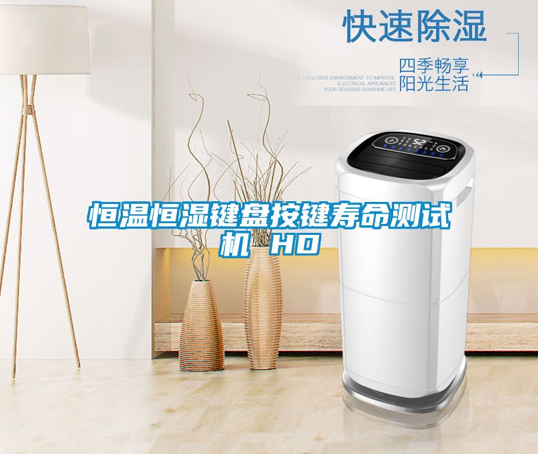 恒溫恒濕鍵盤(pán)按鍵壽命測試機 HD