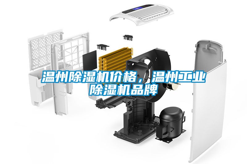 溫州除濕機價(jià)格，溫州工業(yè)除濕機品牌