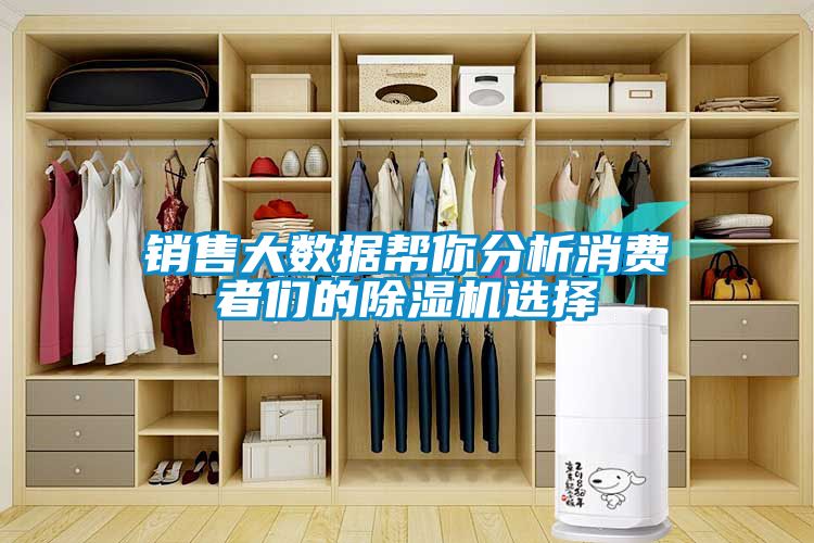 銷(xiāo)售大數據幫你分析消費者們的除濕機選擇