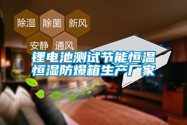 鋰電池測試節能恒溫恒濕防爆箱生產(chǎn)廠(chǎng)家