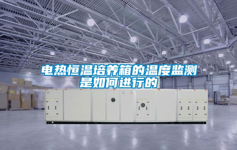 電熱恒溫培養箱的溫度監測是如何進(jìn)行的