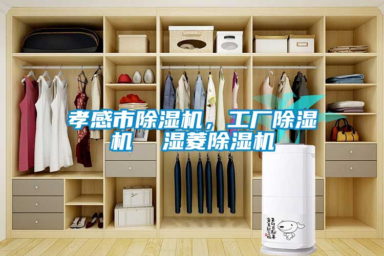 孝感市除濕機，工廠(chǎng)除濕機  濕菱除濕機