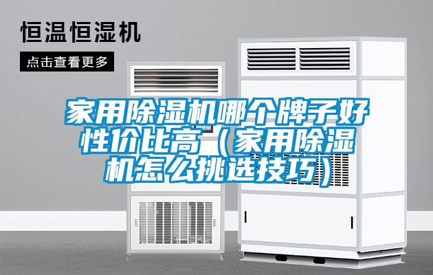家用除濕機哪個(gè)牌子好性?xún)r(jià)比高（家用除濕機怎么挑選技巧）