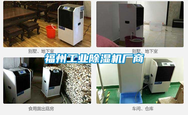 福州工業(yè)除濕機廠(chǎng)商