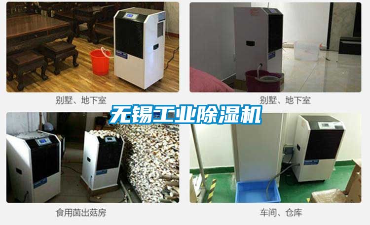 無(wú)錫工業(yè)除濕機