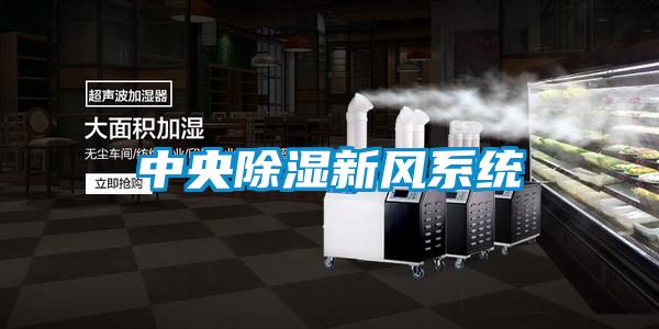 中央除濕新風(fēng)系統