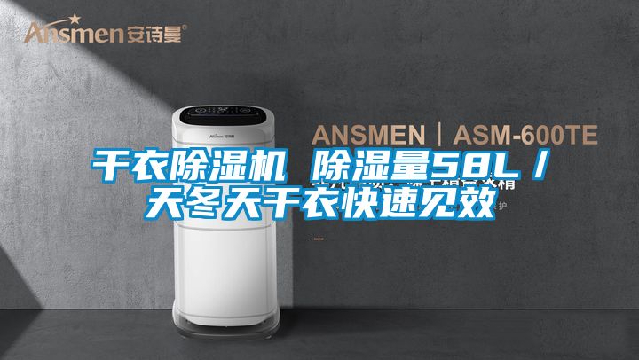 干衣除濕機 除濕量58L／天冬天干衣快速見(jiàn)效