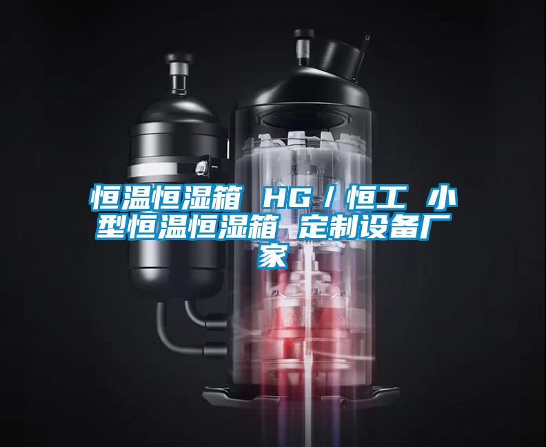 恒溫恒濕箱 HG／恒工 小型恒溫恒濕箱 定制設備廠(chǎng)家
