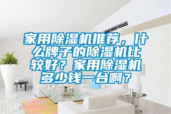 家用除濕機推薦，什么牌子的除濕機比較好？家用除濕機多少錢(qián)一臺??？